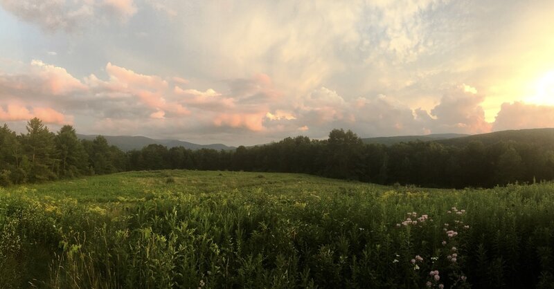 The vista point at one end of the Mountain Meadow Trail gives a panoramic view of the Greylock Range to the south and the Taconic Crest to the west.