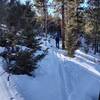 In the woods climbing switchbacks.