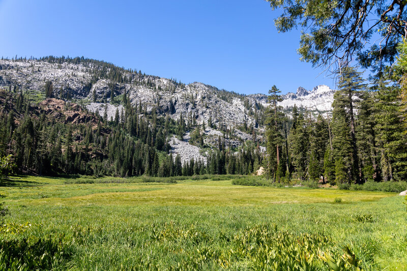 Meadow below Granite Lake.