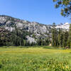 Meadow below Granite Lake.