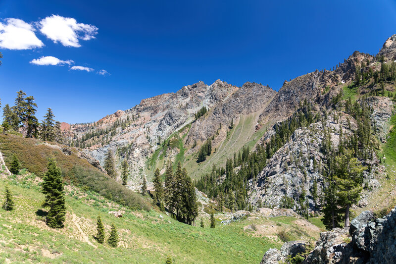 Upper Bear Creek valley from the junction with Black Basins Trail and Seven Up Peak Trail