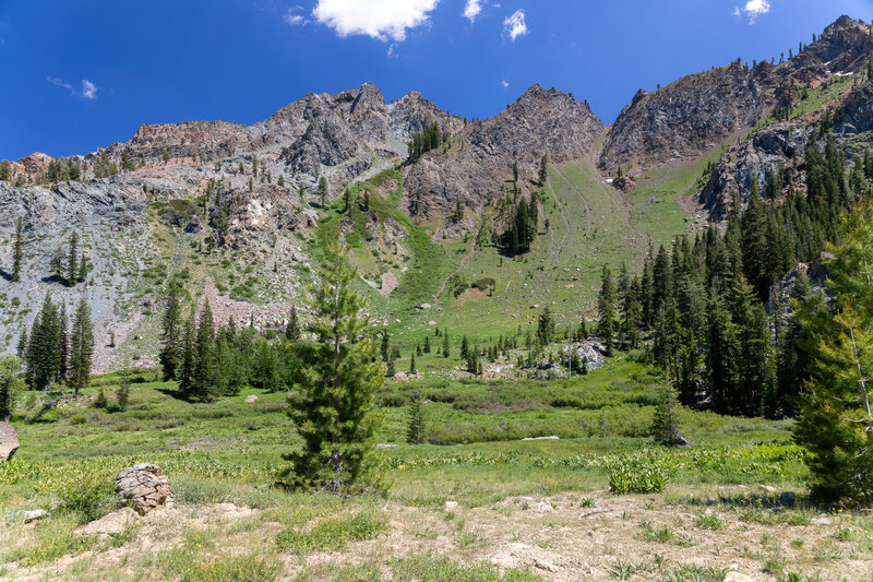 One of the many meadows along Bear Creek.