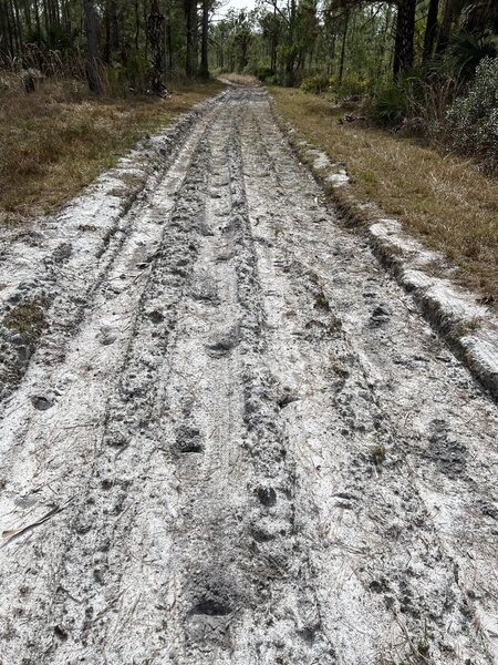 Trail torn up by motor vehicles.