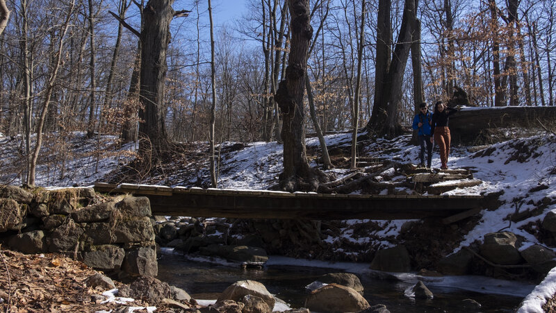 Wooden Bridge