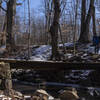 Wooden Bridge