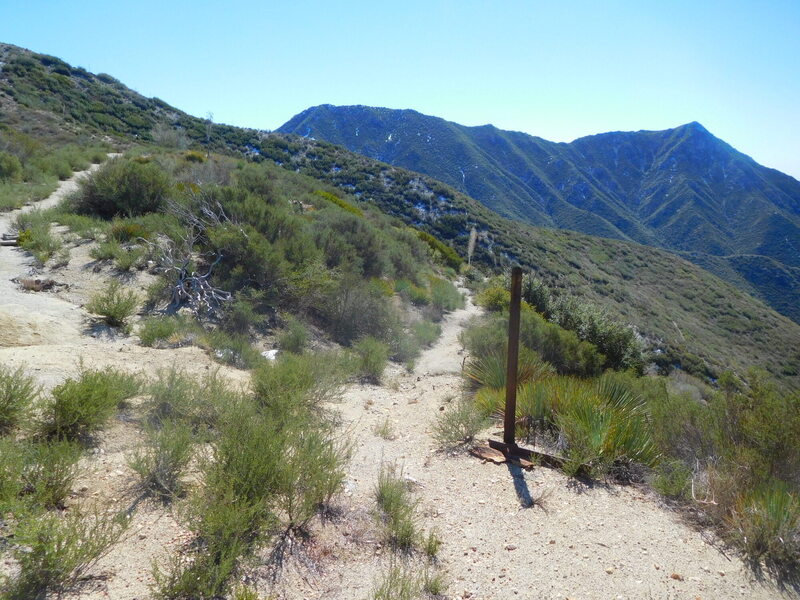 Junction of Trail Canyon Trail (right) and Condor Peak Trail looking south towards Condor Peak.