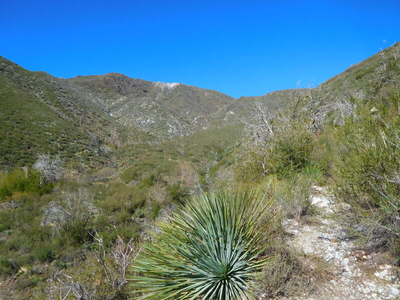 Iron Mountain from Trail Canyon Trail.  A large part of the mountain collapse and filled the canyon bottom creating the valley to the left.