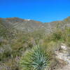 Iron Mountain from Trail Canyon Trail.  A large part of the mountain collapse and filled the canyon bottom creating the valley to the left.