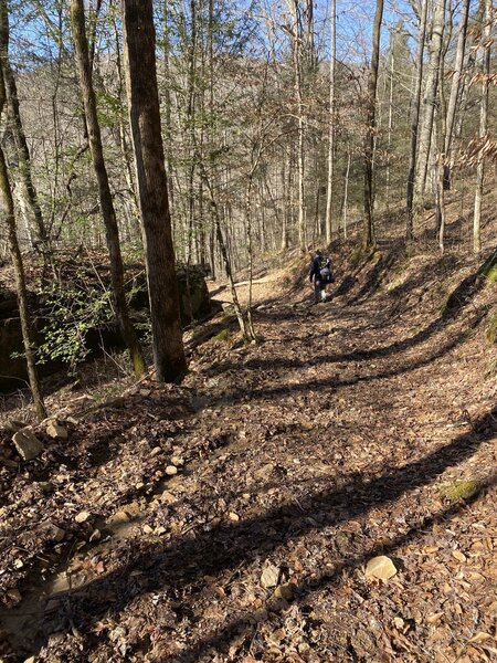 Pretty steep, muddy, rocky and much travelled by horses. Not for those less sure on foot.