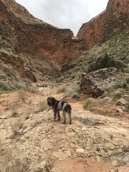 Nearing the end of the trail and the third waterfall.