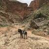 Nearing the end of the trail and the third waterfall.