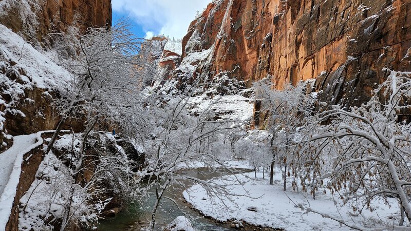 View from the trail