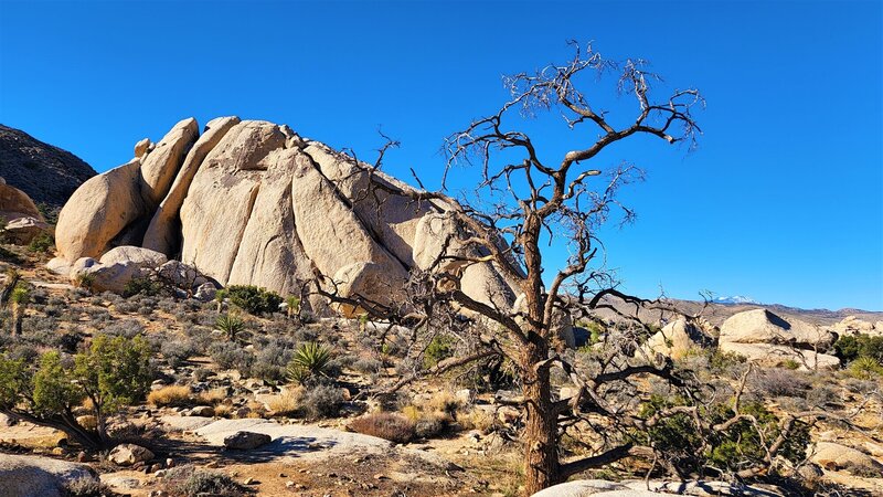 View from the trail