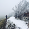 Snowy singletrack.