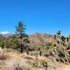 View from the trail