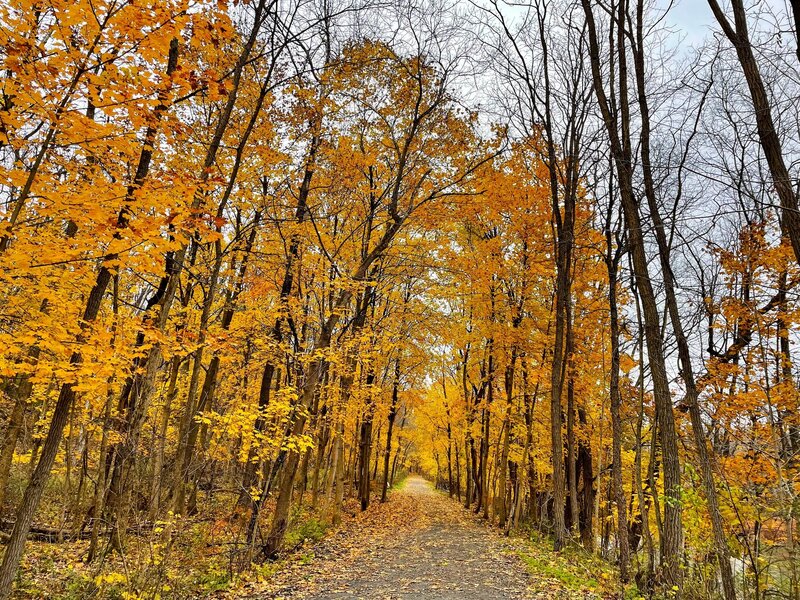 Autumn color change along the Hoosick River Greenway.