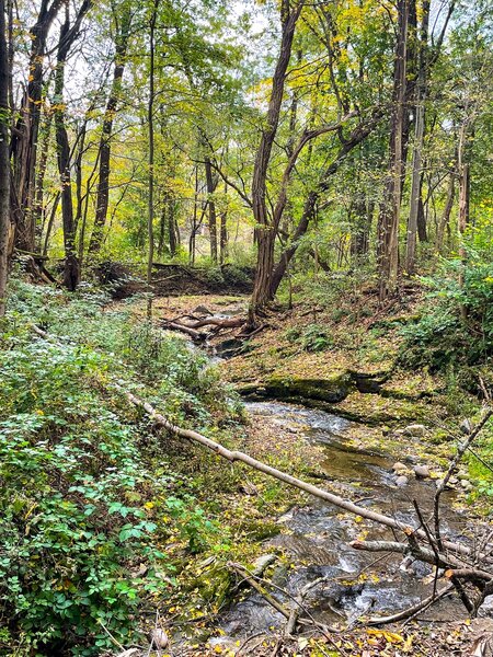 Creek flowing into the Hoosick River along the Greenway path.