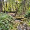 Creek flowing into the Hoosick River along the Greenway path.