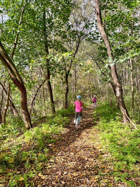Woods path along the Hoosick River Greenway.