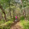 Woods path along the Hoosick River Greenway.