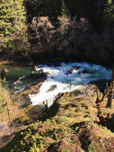 Looking down on the North Fork of the Willamette River.