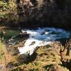 Looking down on the North Fork of the Willamette River.