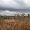 An area that has been cleared along the trail by USFS to promote wildlife habitat.