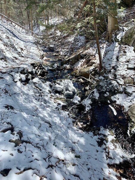 Trail by the water on the orange trail