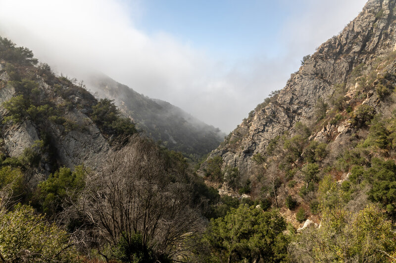 Morning clouds in San Ysidro Canyon