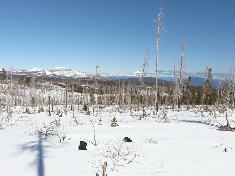 Mt. Washington, Millican Crater, Black Crater, 3-Fingered Jack, Mt. Jefferson and Black Butte from near shelter (3-16-2022).