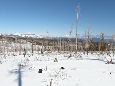 Mt. Washington, Millican Crater, Black Crater, 3-Fingered Jack, Mt. Jefferson and Black Butte from near shelter (3-16-2022).