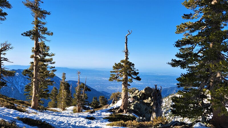 View from the trail