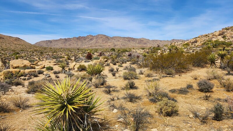 View from the trail