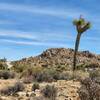 View from the trail