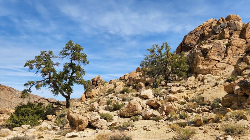 View from the trail