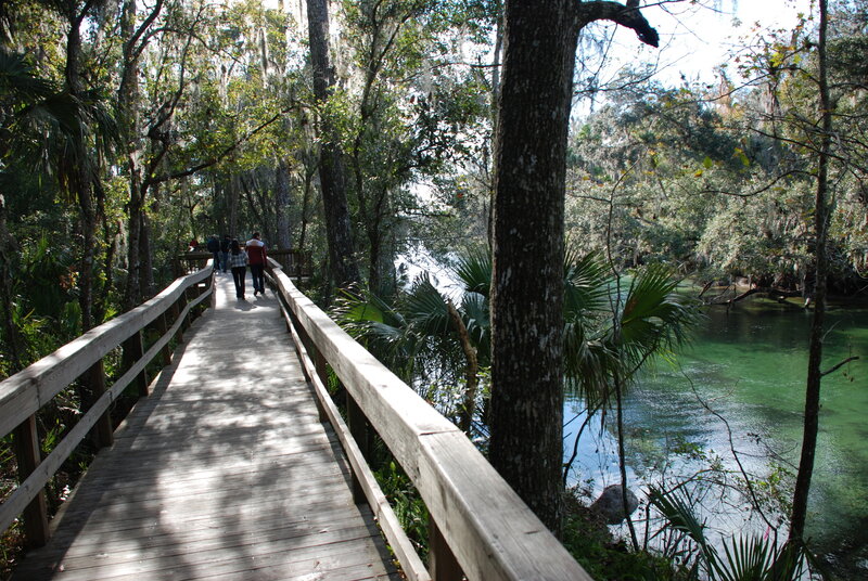 Blue Spring State Park