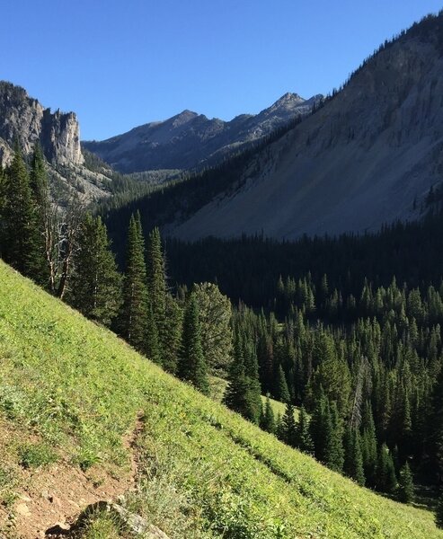 View into Bear Basin from North Fork descent