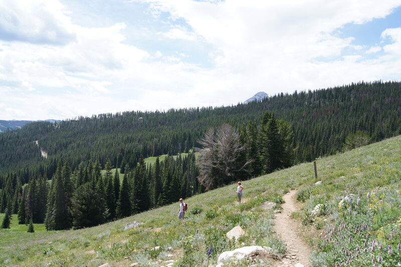 Beehive Basin Hike, Big Sky, Montana