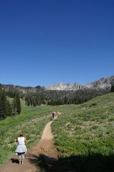 Beehive Basin Hike, Gallitin National Forest