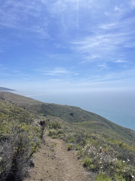 Hiking along the end of the route overlooking the ocean.