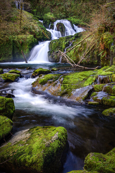 Lower Sweet Creek Falls from Wagon Road Trail