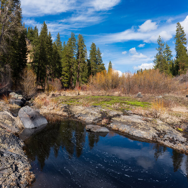 The trail sort of ends here.  Upstream, the volcanic river bed rocks become more visible as the water seemingly disappears underground.