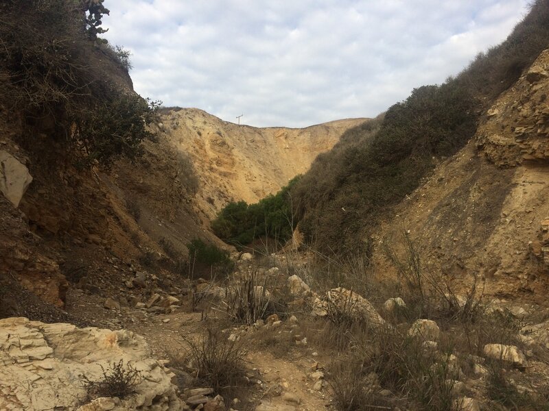 Palos Verdes