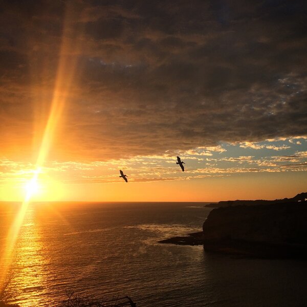 Palos Verdes