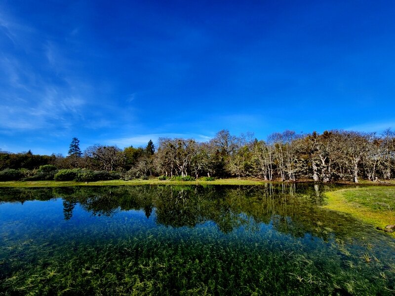 The old stock pond usually contains water for a few weeks every year