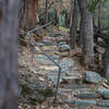 Stone steps descend the last bit of trail before reaching the creek's edge.