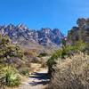 View from the trail