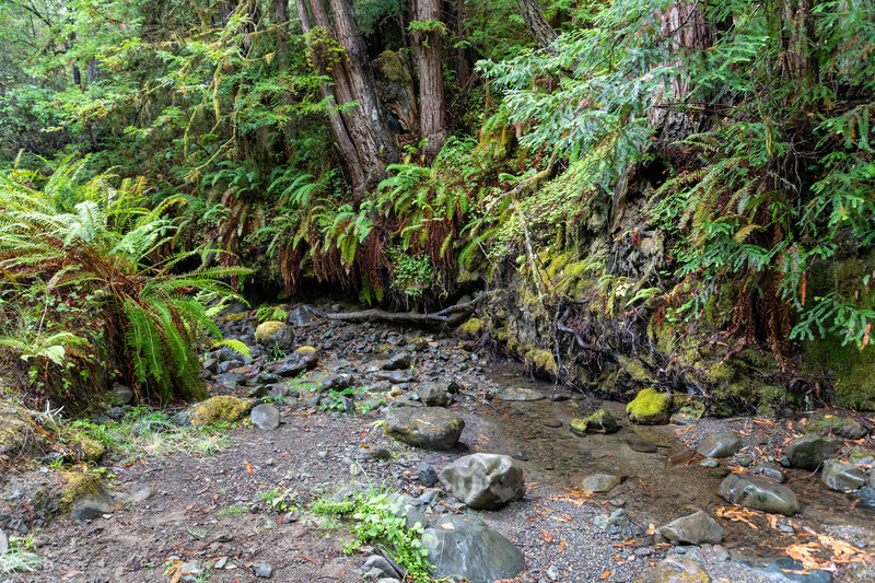 Crossing a small creek before the trail starts its ascent to Pole Mountain