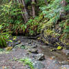 Crossing a small creek before the trail starts its ascent to Pole Mountain