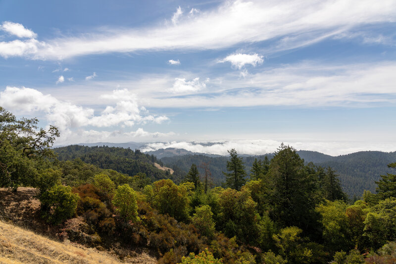 Above the clouds looking across the coastline